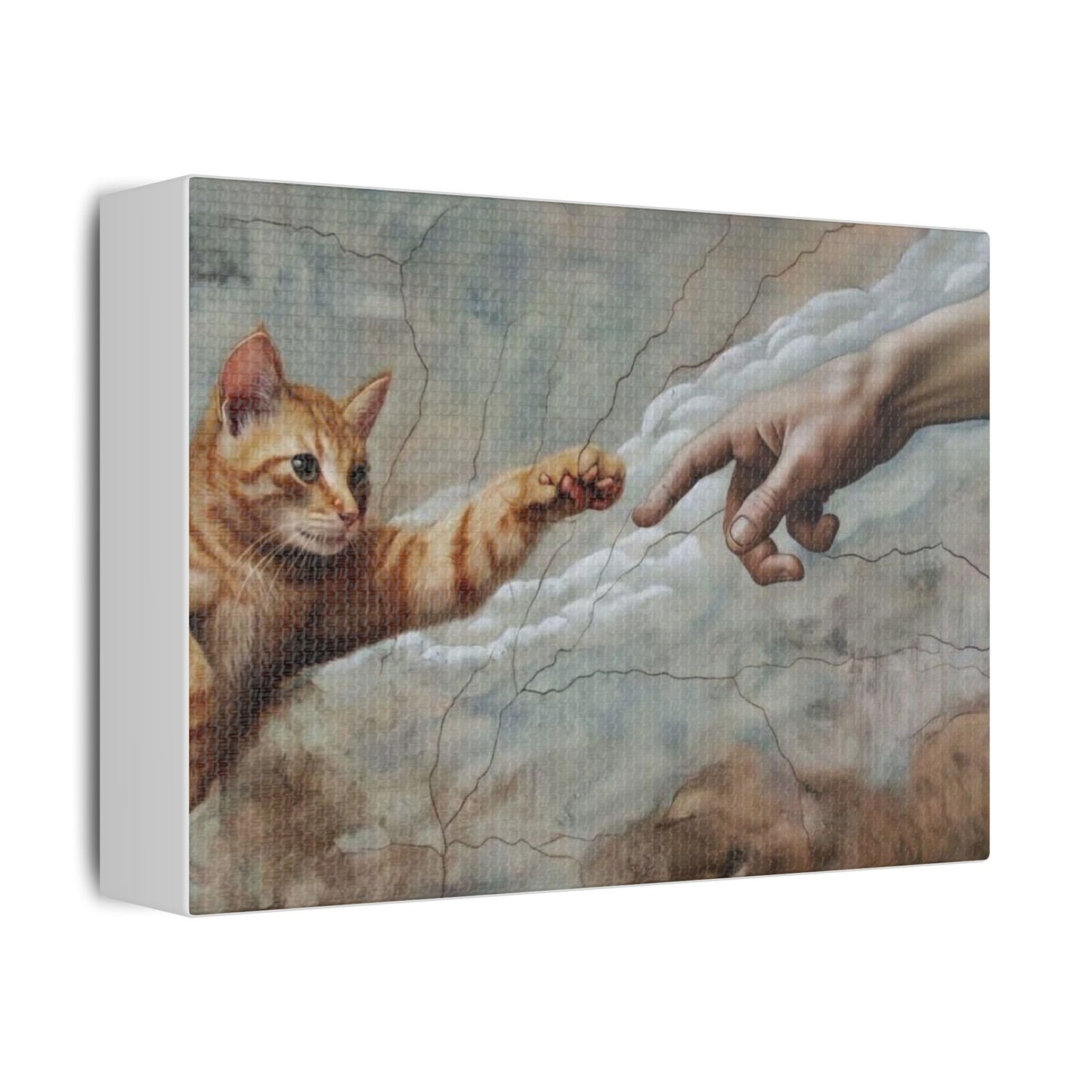 Cat-Adan Canvas Art
